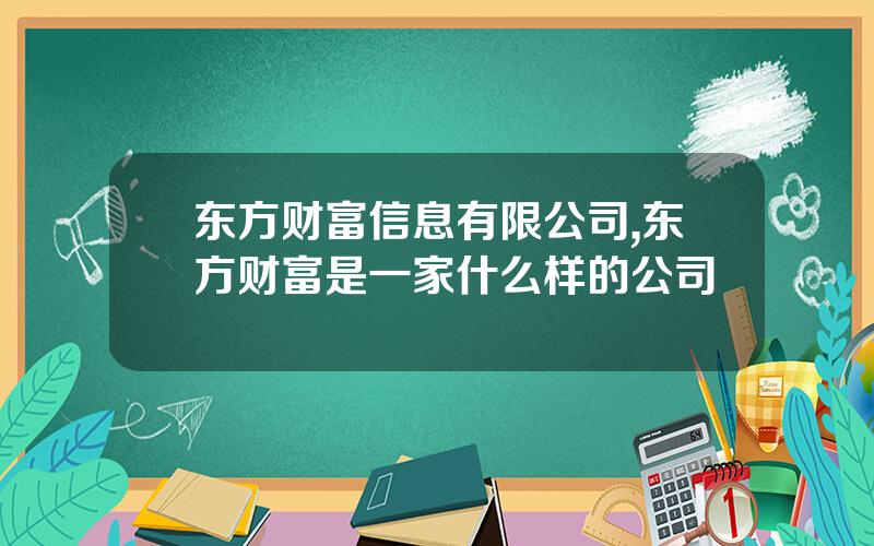东方财富信息有限公司,东方财富是一家什么样的公司