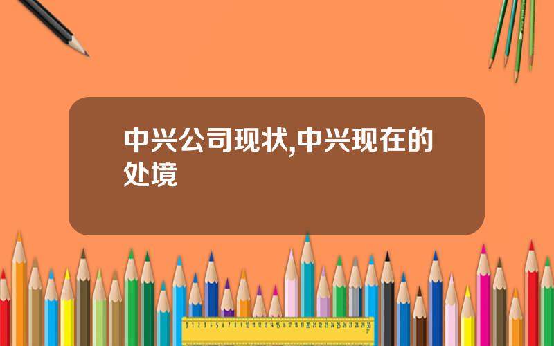 中兴公司现状,中兴现在的处境