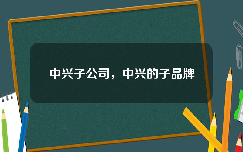 中兴子公司，中兴的子品牌