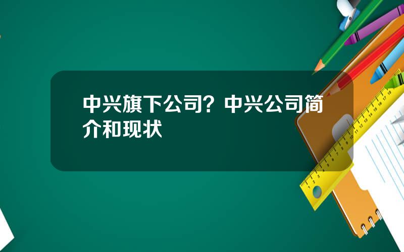 中兴旗下公司？中兴公司简介和现状