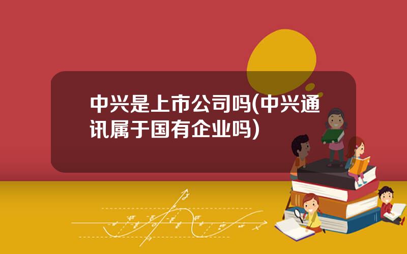 中兴是上市公司吗(中兴通讯属于国有企业吗)