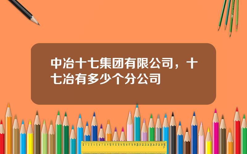 中冶十七集团有限公司，十七冶有多少个分公司