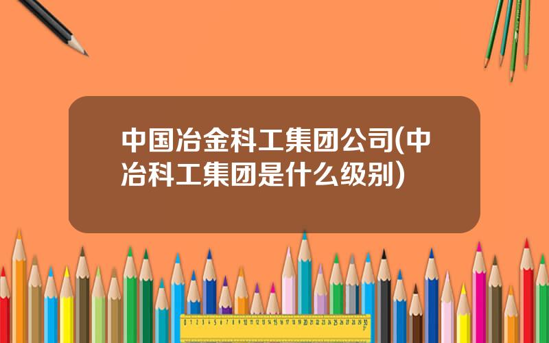 中国冶金科工集团公司(中冶科工集团是什么级别)