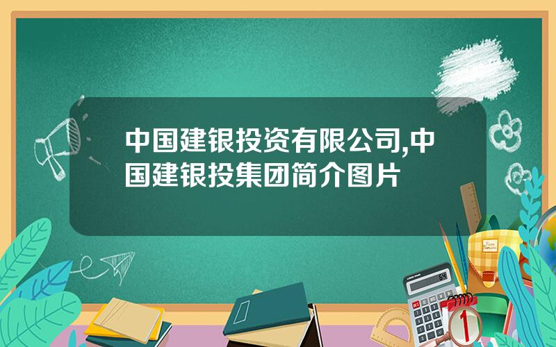 中国建银投资有限公司,中国建银投集团简介图片
