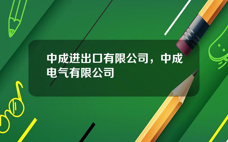 中成进出口有限公司，中成电气有限公司