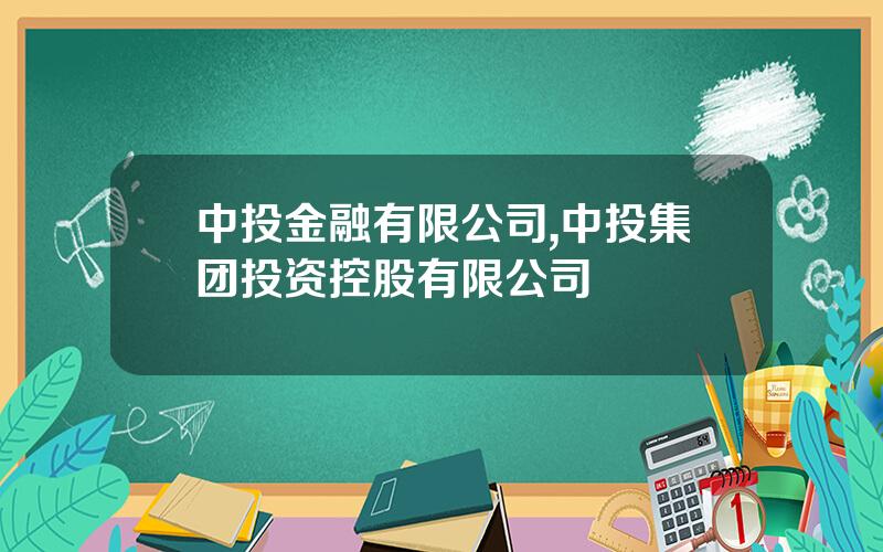 中投金融有限公司,中投集团投资控股有限公司
