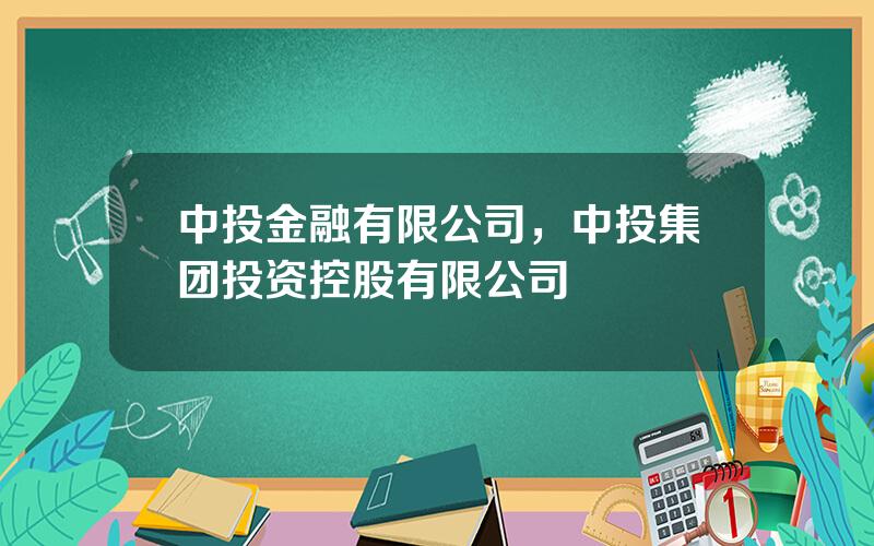 中投金融有限公司，中投集团投资控股有限公司