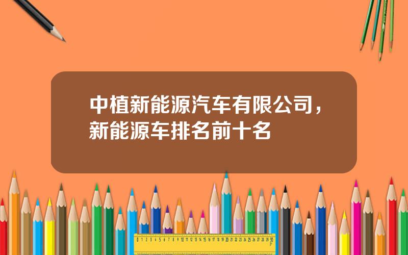 中植新能源汽车有限公司，新能源车排名前十名