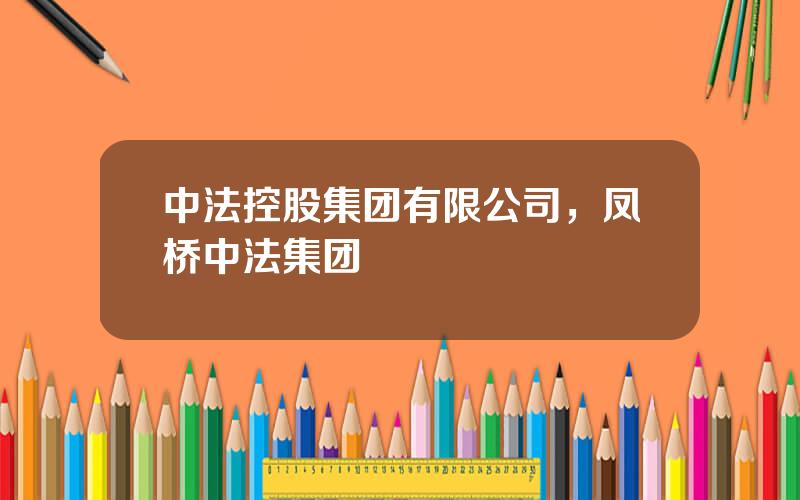 中法控股集团有限公司，凤桥中法集团