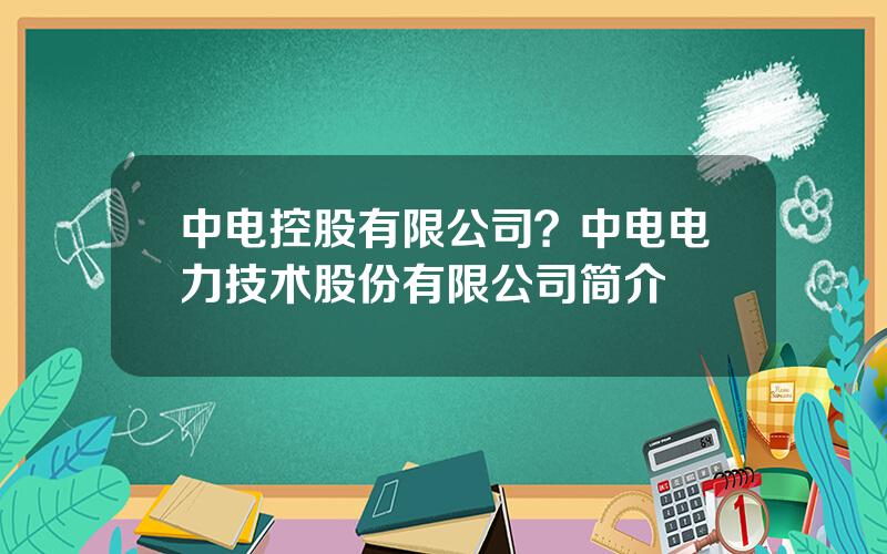 中电控股有限公司？中电电力技术股份有限公司简介