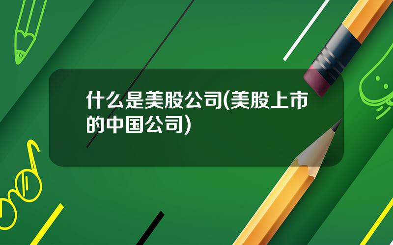 什么是美股公司(美股上市的中国公司)
