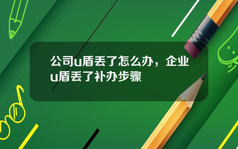 公司u盾丢了怎么办，企业u盾丢了补办步骤