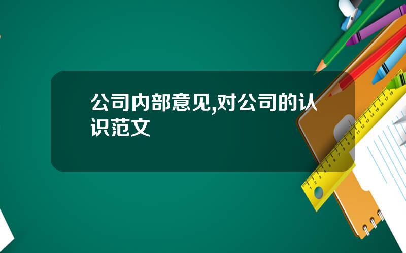公司内部意见,对公司的认识范文