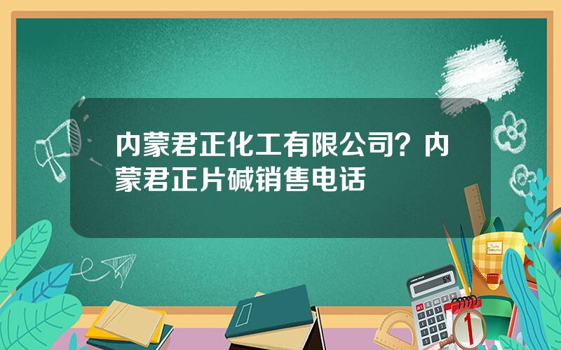 内蒙君正化工有限公司？内蒙君正片碱销售电话