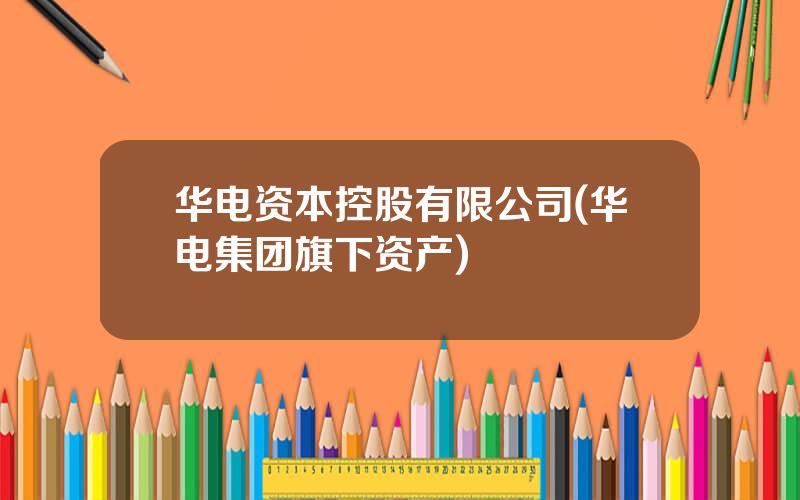 华电资本控股有限公司(华电集团旗下资产)