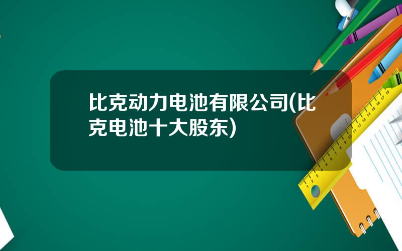 比克动力电池有限公司(比克电池十大股东)