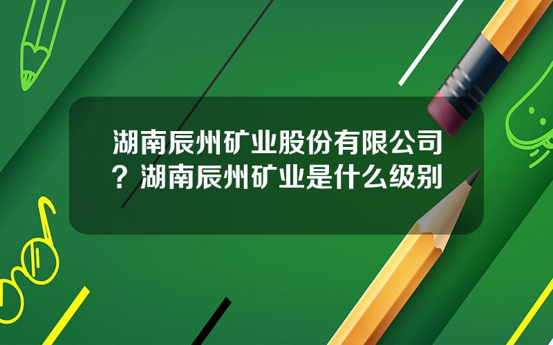 湖南辰州矿业股份有限公司？湖南辰州矿业是什么级别